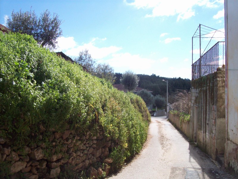 rsamaro27