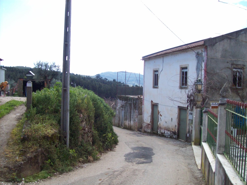 rsamaro28