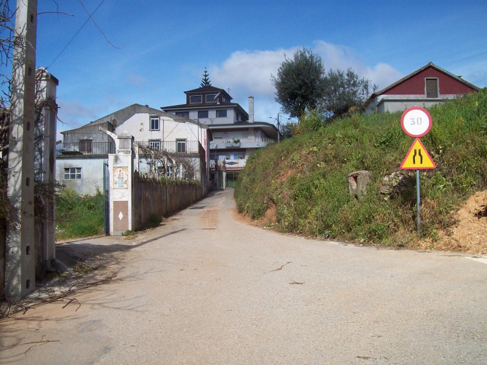 rsamaro29
