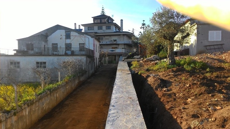 rsamaro9