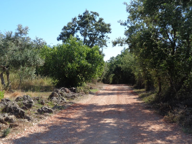 rcdgaio3