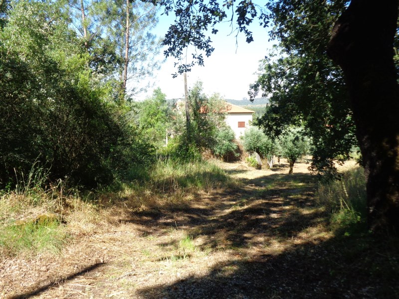 rcerro2