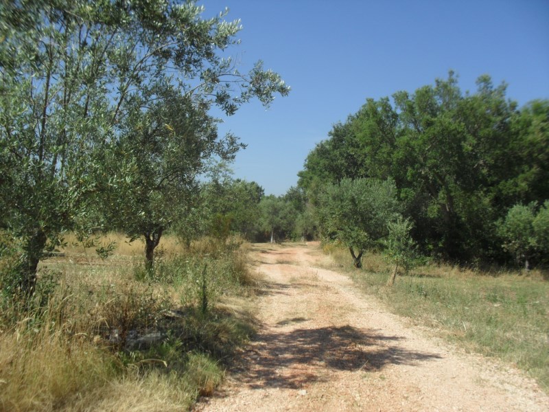 rrbica3