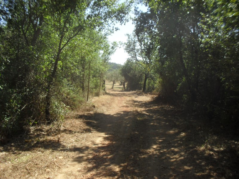 rrbica4