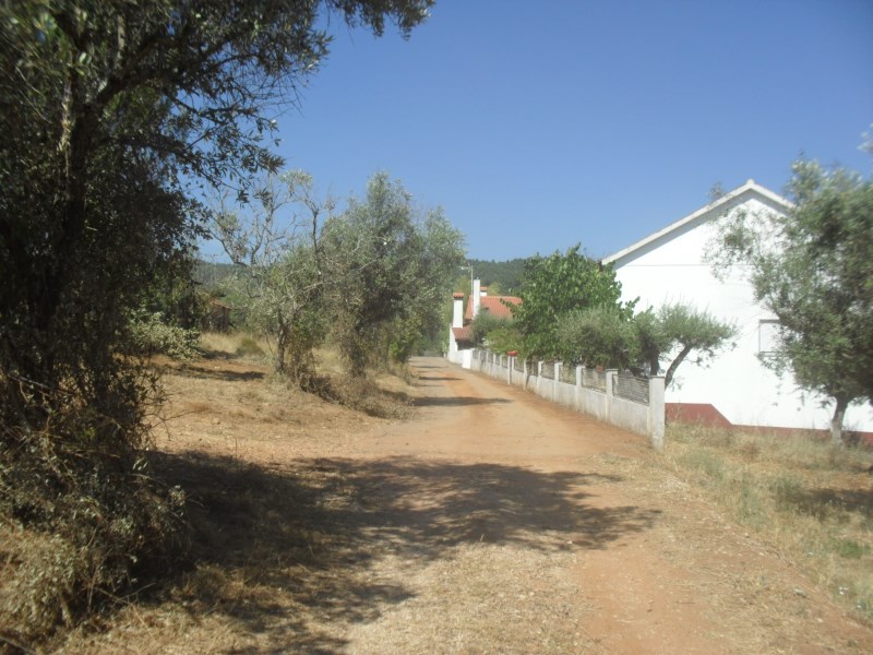 rrbica8