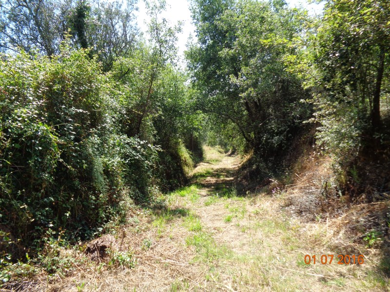tgalegas3