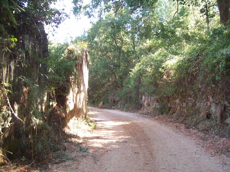 rtcima12