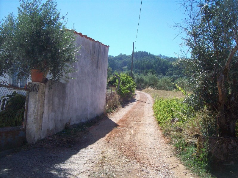 rtcima2