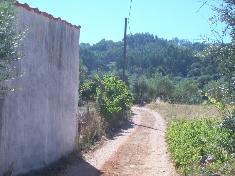 rtcima3