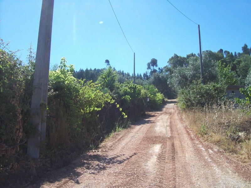 rtcima6