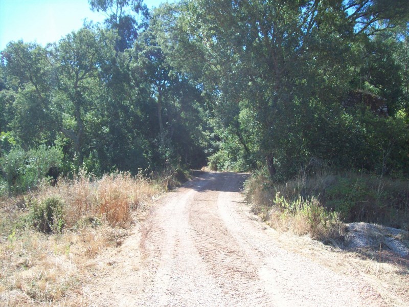 rtcima9