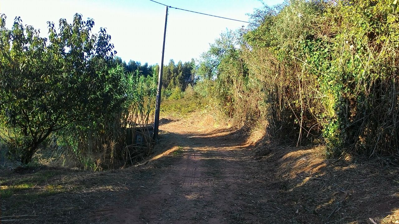 coito 6