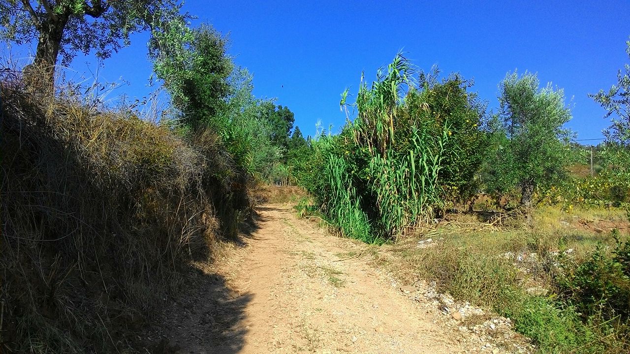 rfpedra 2