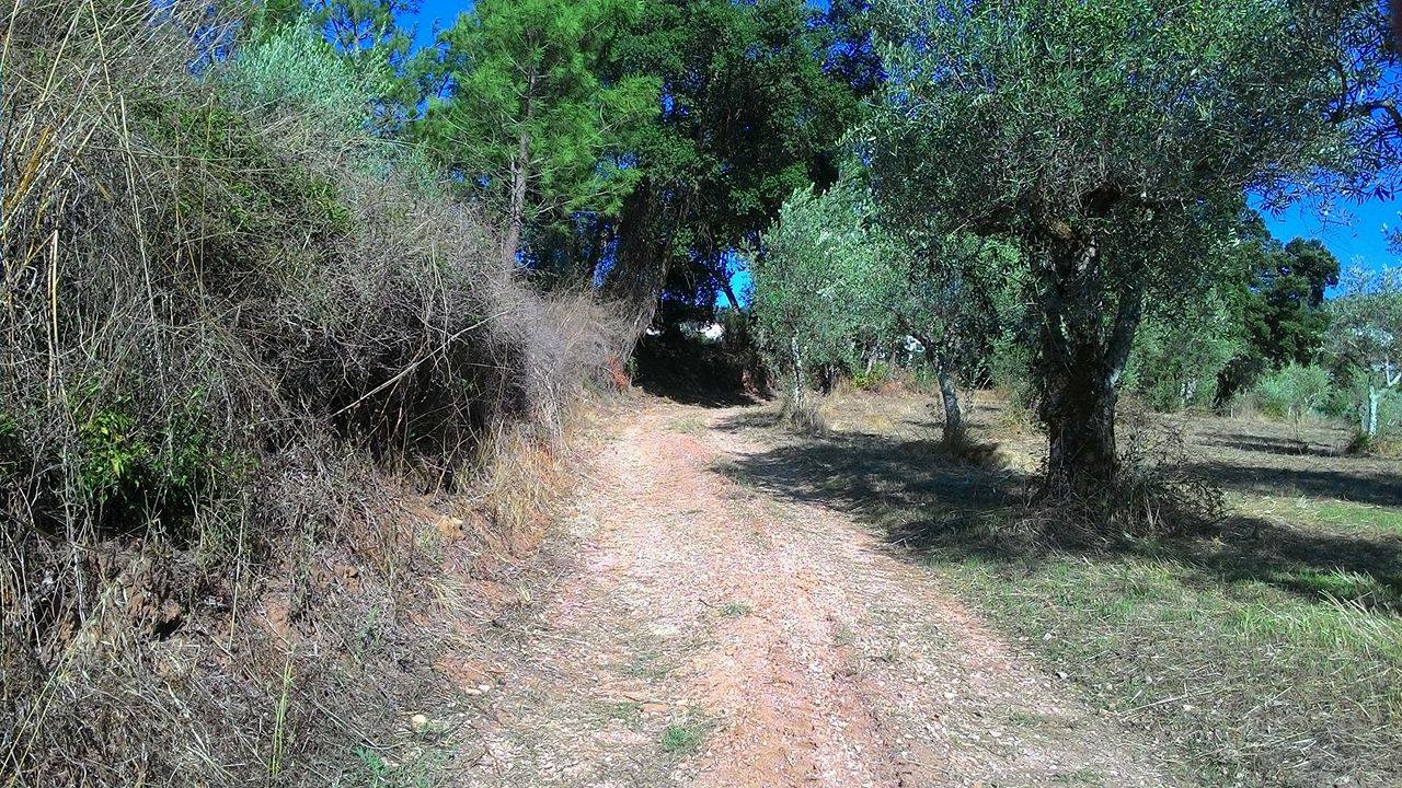 rfpedra 3