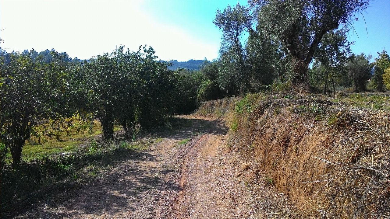 rfpedra 4
