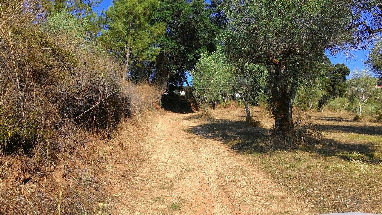 rfpedra 5