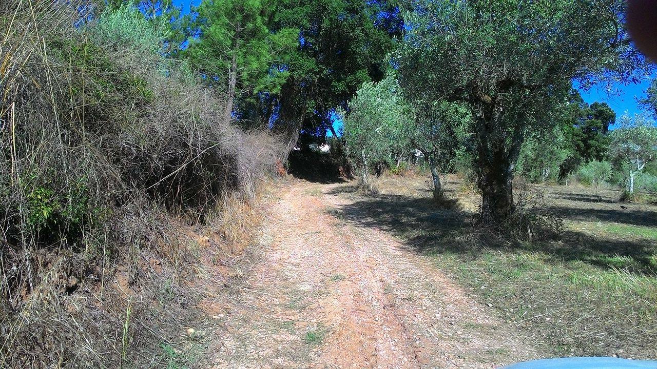 rfpedra 7