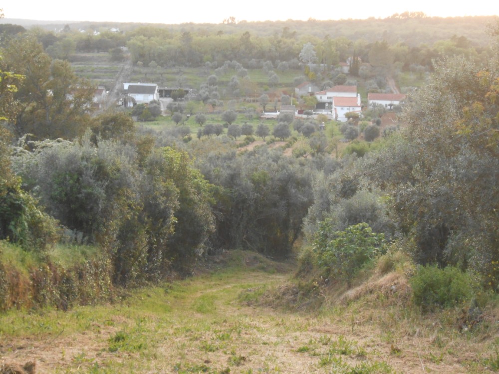 vverde34