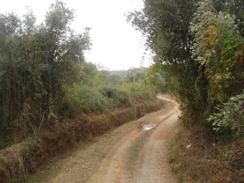 cvtremocos3