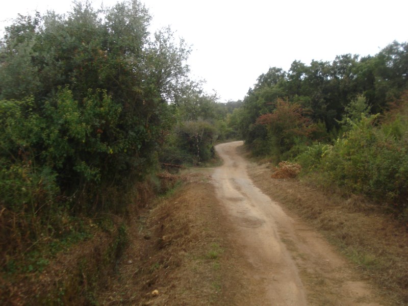 cvtremocos4