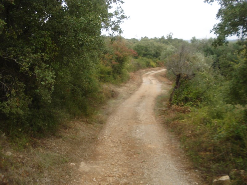 cvtremocos6