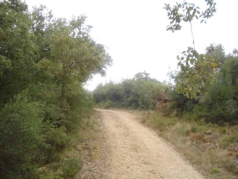 cvtremocos7