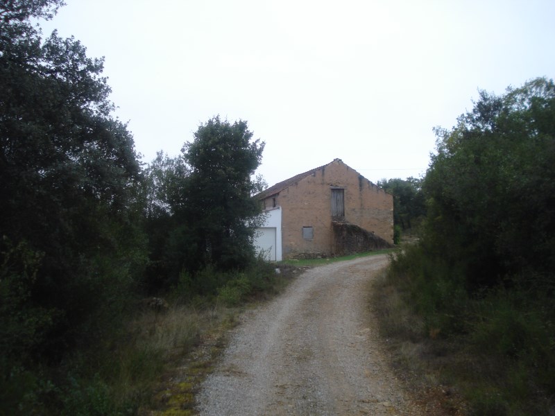 cvtremocos8
