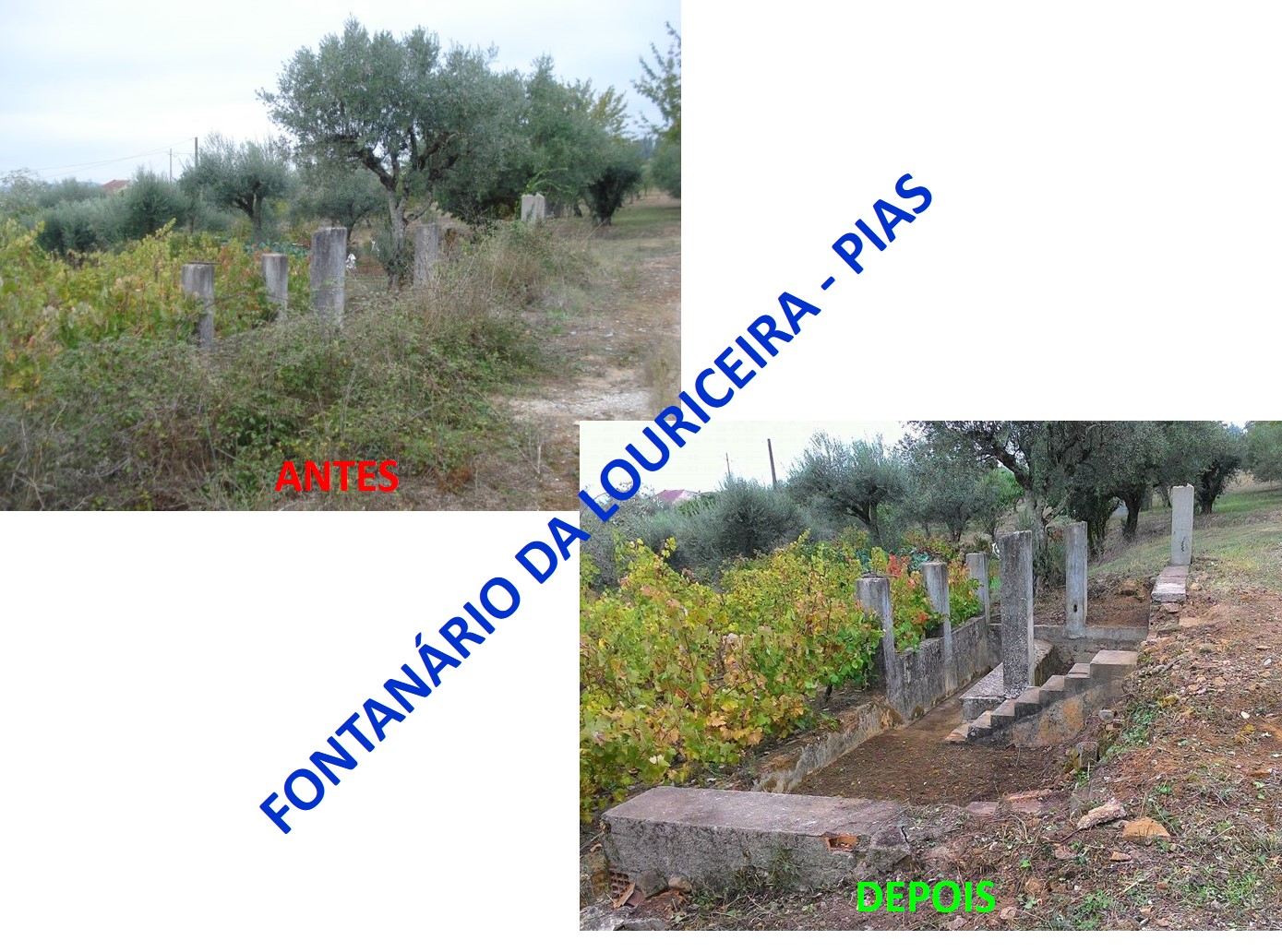 flouriceira1a