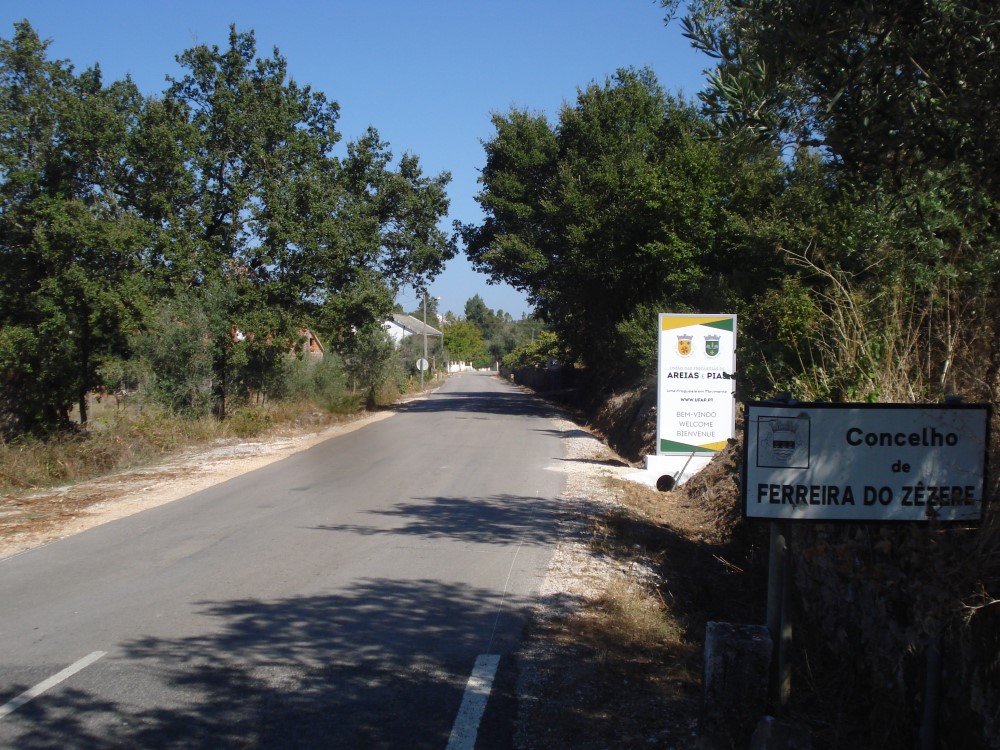 placas15