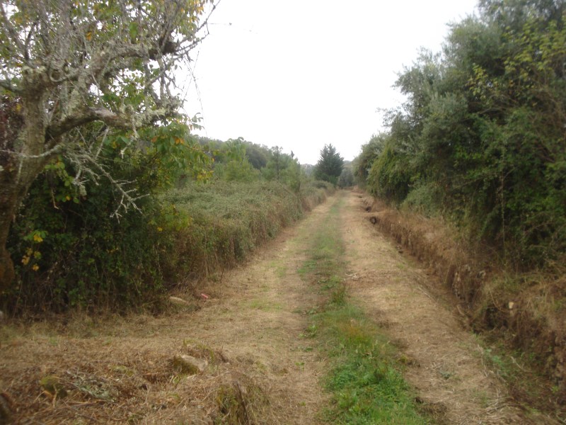 rcaleixo11