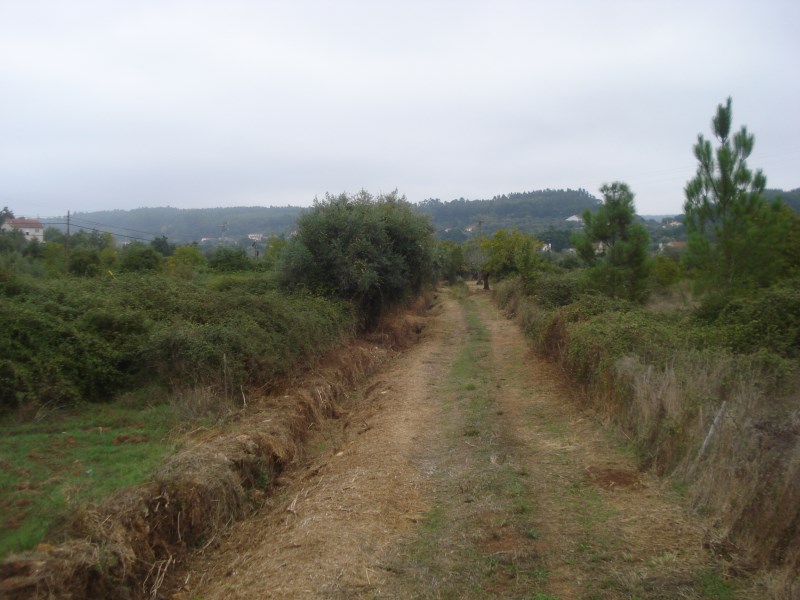 rcaleixo13
