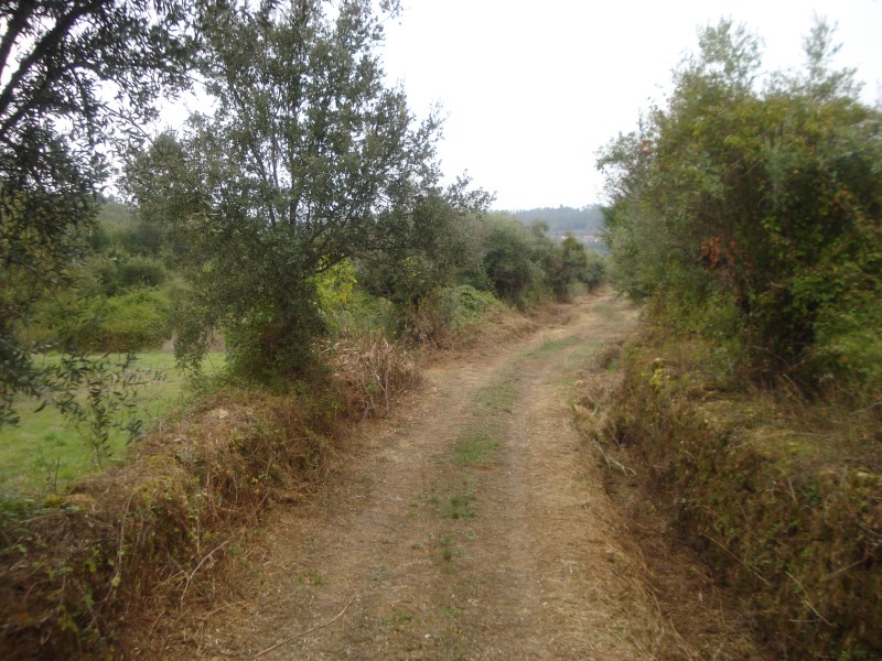rcaleixo17