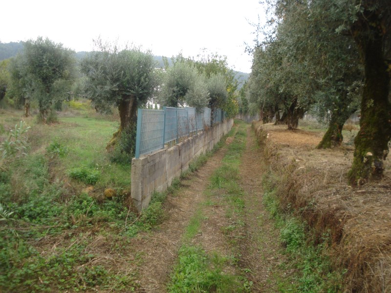 rcaleixo5