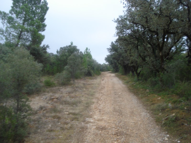 ropovo10