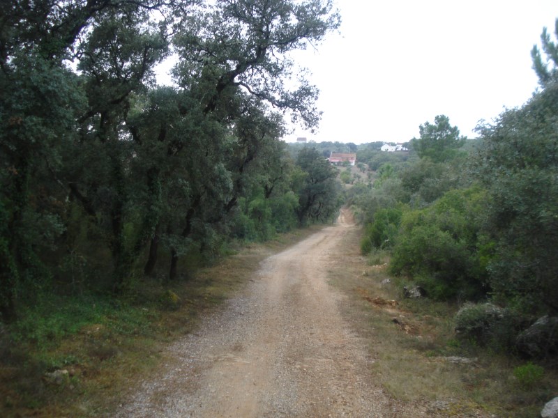 ropovo11