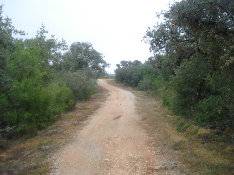 ropovo12