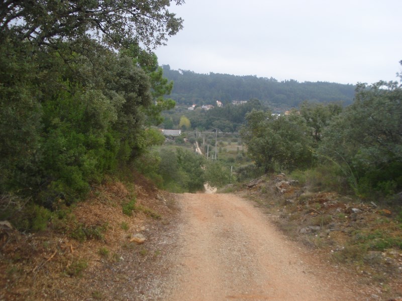 ropovo15