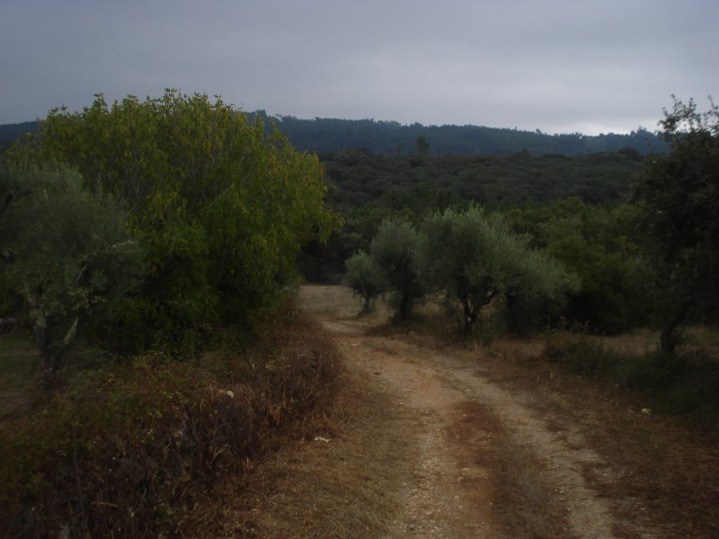 ropovo3