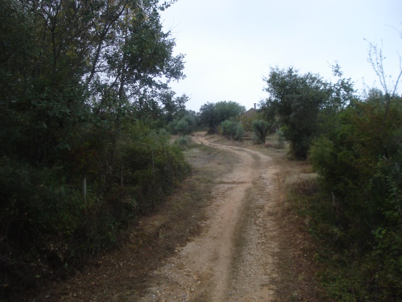 ropovo6
