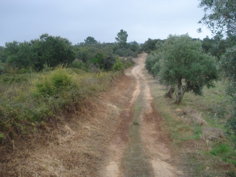 ropovo7