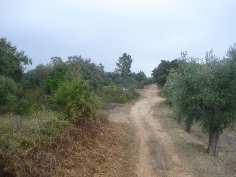 ropovo8