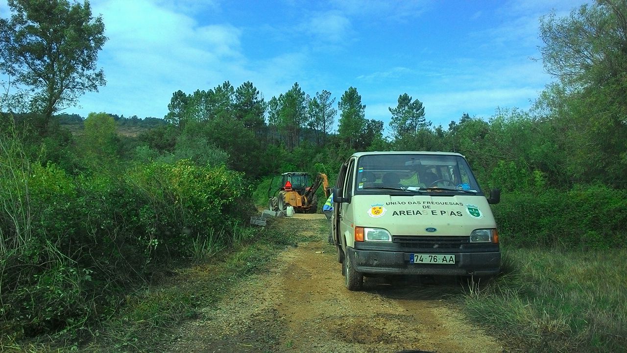 rribeira12