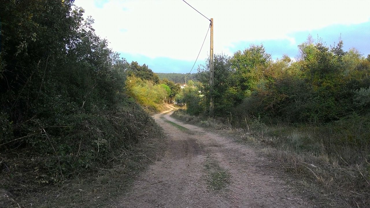 rribeira2