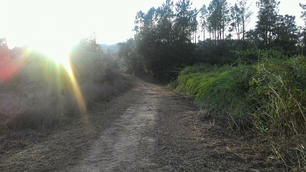rribeira9