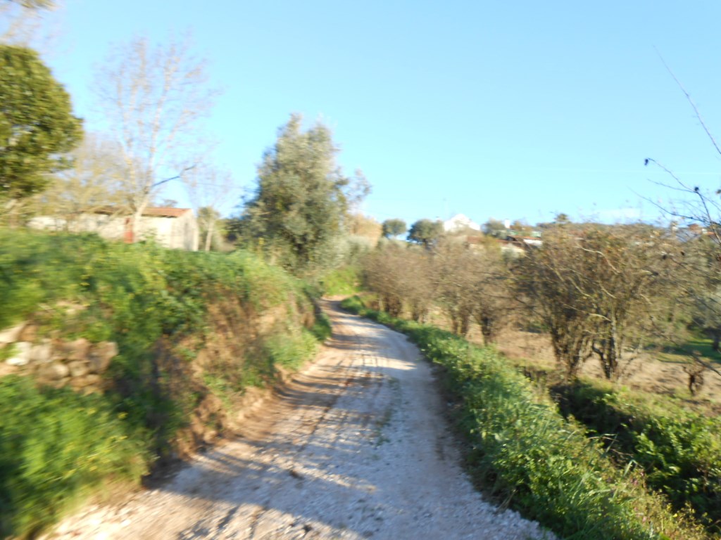 rfpedra 10