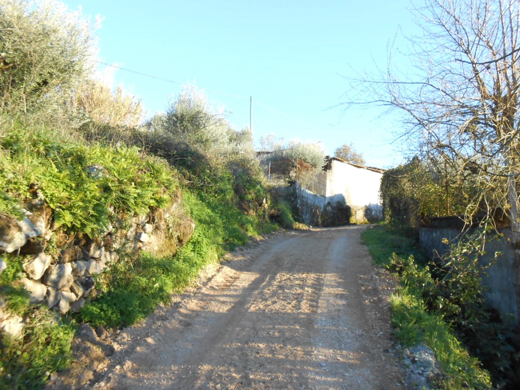 rfpedra 11