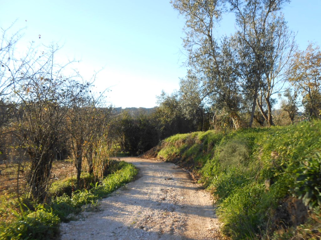 rfpedra 4