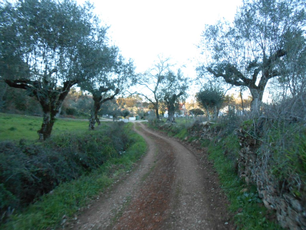 rfpedra 8