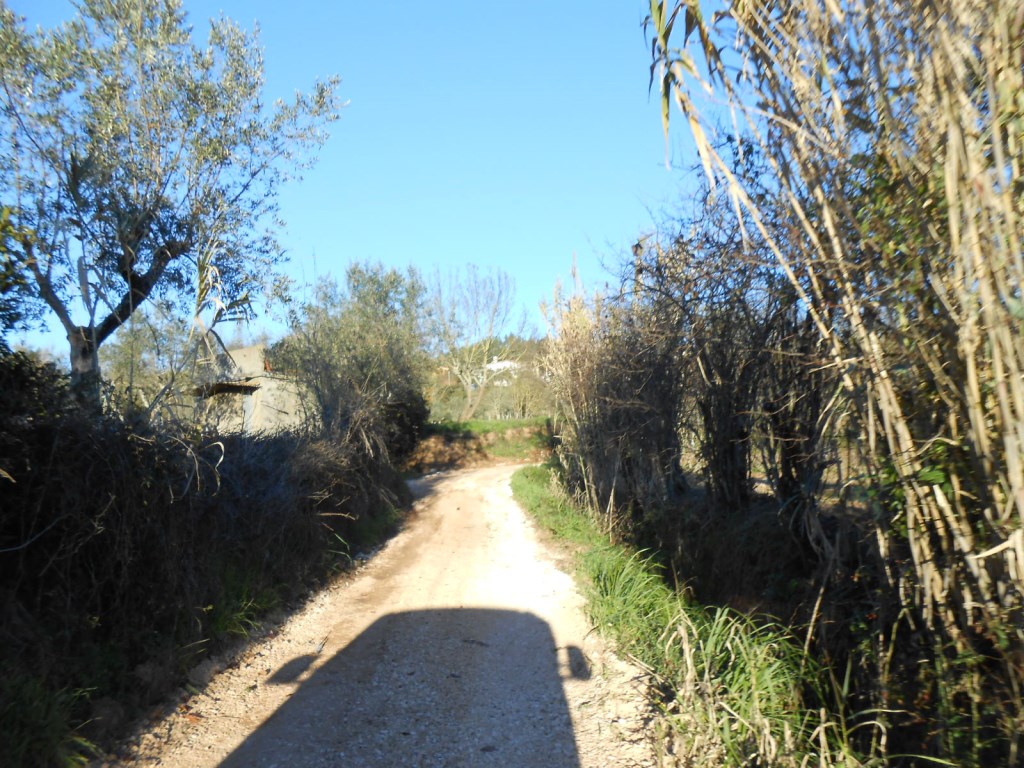 rfpedra 9