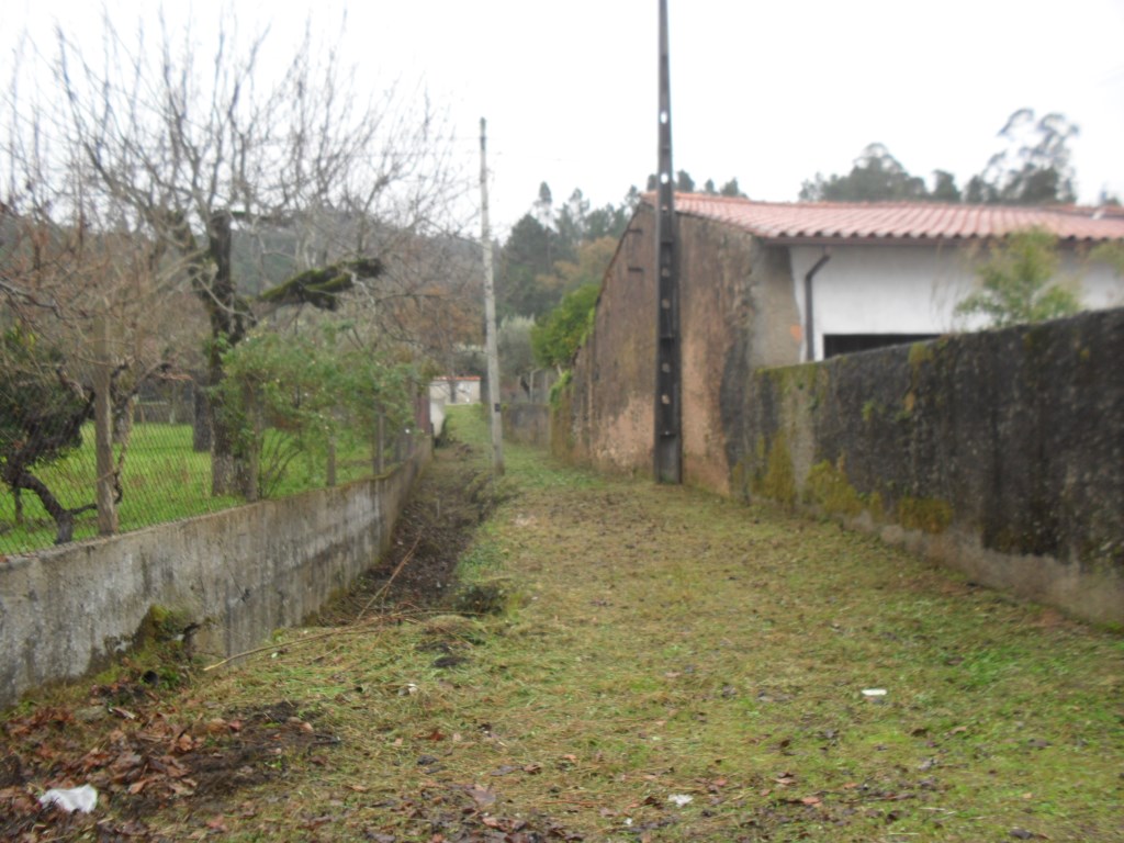rmurta 3